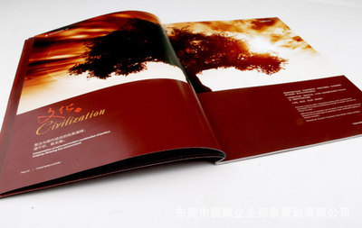 東莞高檔畫冊設(shè)計(jì)印刷之道 視維企業(yè)形象策劃的專業(yè)匠心